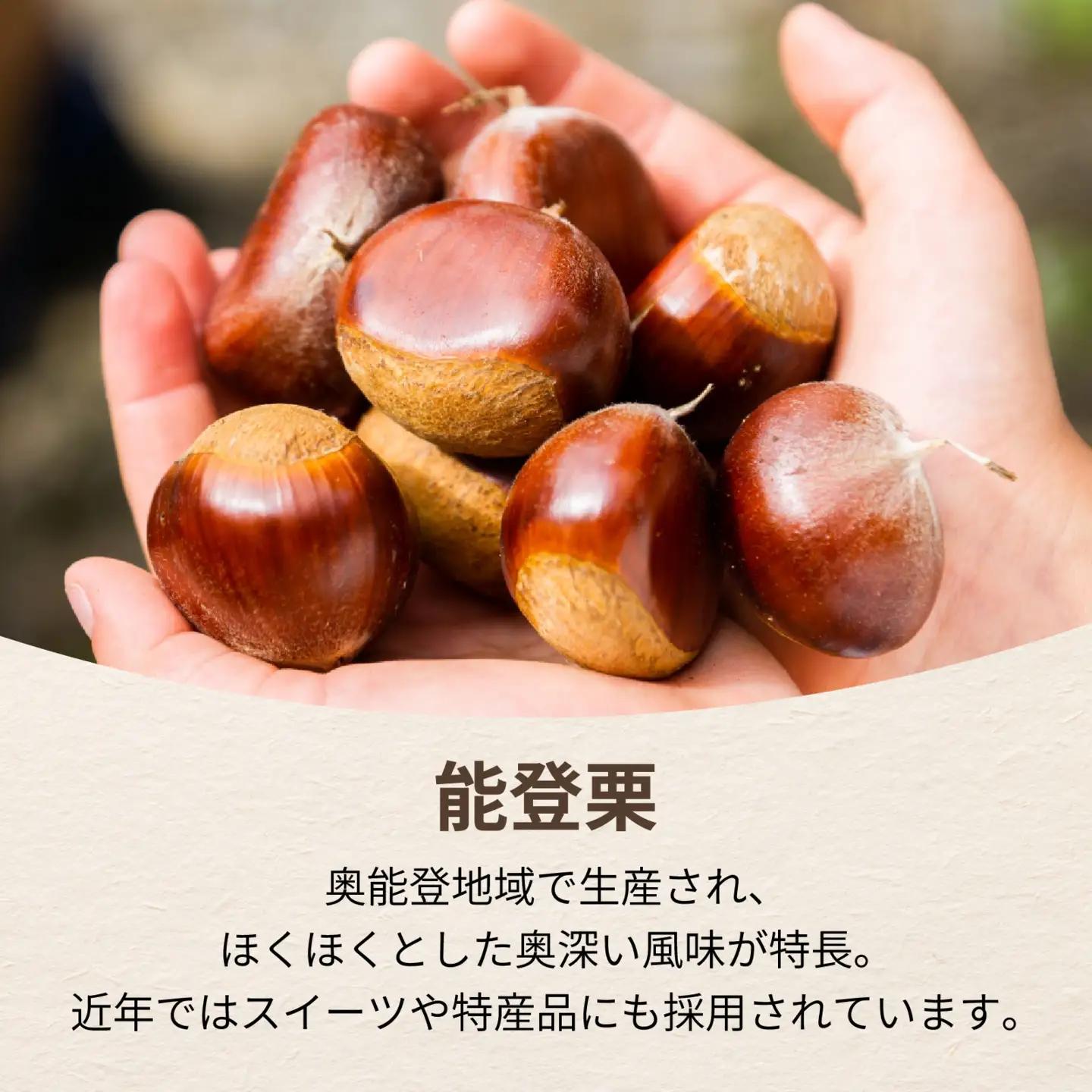【先行予約】奥能登 池田栗園の能登栗 約2kg Bックリ！大粒4Lサイズ以上 | 栗