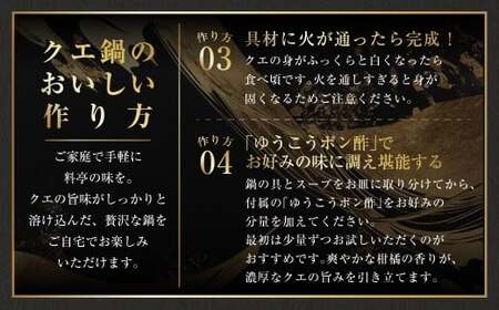 【14営業日以内発送】長崎県産 天然クエ鍋セット （3人前） 長崎県産 ゆうこうポン酢 2種付 ／ ポン酢付き クエ鍋 海鮮鍋 クエ くえ 魚 アラ 切り身 鍋セット セット 九州 長崎県 長崎市 冷