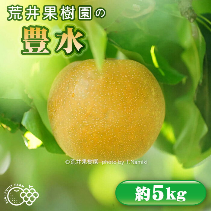 【ふるさと納税】【先行予約】荒井果樹園の豊水　約5kg ／ フルーツ 果汁 果物 梨 なし ナシ 甘み 埼玉県 No.526