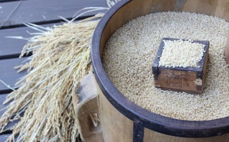 特別栽培メダカ白米 約5kg 白米［1157-2］