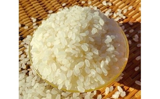 完全自然米 2.7kg【白米】