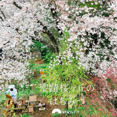 ふるさと納税 多摩市 東京産純粋はちみつ　西洋ミツバチ百花蜜190g×2本セット |  | 02