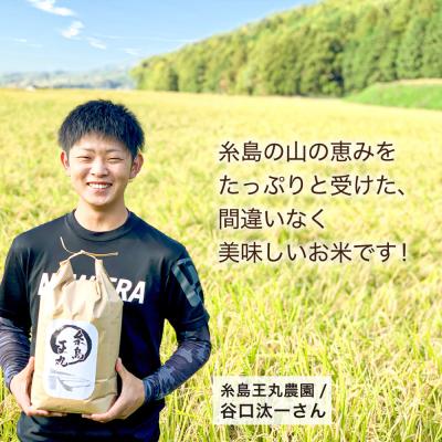ふるさと納税 糸島市  ヒノヒカリ 5kg 糸島王丸農園(谷口汰一)【いとしまごころ】[AAZ010] |  | 02