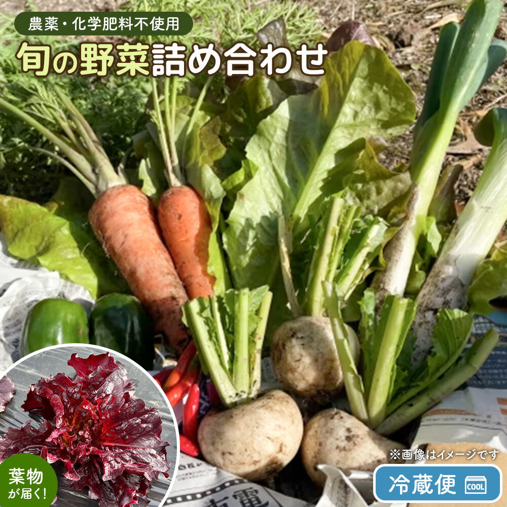 【ふるさと納税】【農薬・化学肥料不使用】旬野菜詰め合わせ（冷蔵便） | 農薬不使用 化学肥料不使用 セット 詰め合わせ 野菜 じゃがいも 芋 さつまいも にんじん サニーレタス ワインドレス 国産 お取り寄せ 宮城県 白石市 白石【55005】