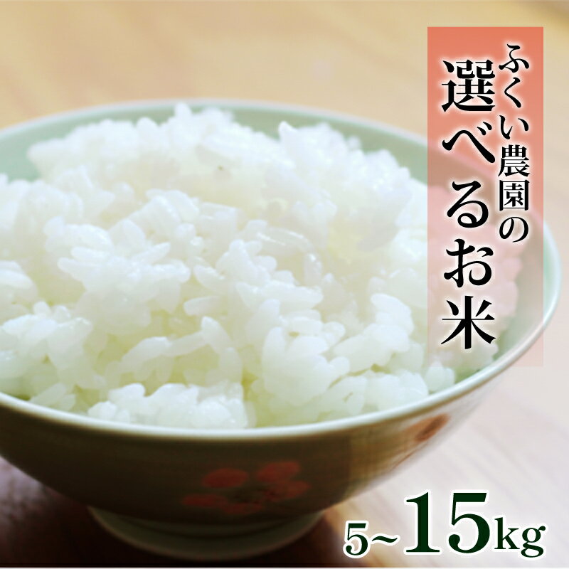【ふるさと納税】 7営業日以内発送 令和7年産 選べる 新米 コシヒカリ ヒノヒカリ もち米 5kg 10kg 15kg スピード発送 ふくい農園 おいしい すぐ 発送 容量 品種 お米 ふるさと納税 低温貯蔵 酵素 ふるさと納税米 贈答用 精米 白米 ブランド米 米 こめ 宿毛市 高知県