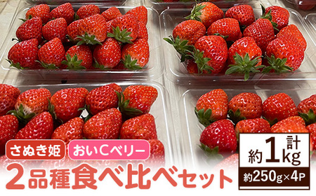 ＜先行予約！2026年2月上旬以降順次発送予定＞いちご2品種食べ比べセット(約250g×4P・約1kg) 食べ比べ セット 産地直送 新登場 【man347】【クズハラ農園】