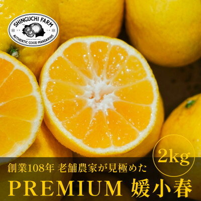 【ふるさと納税】【数量限定】老舗農家が見極めたプレミアム【媛小春2kg】 愛媛県新品種【C70-99】【1671387】