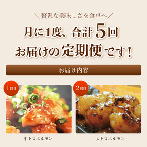【5回定期便】 幸福亭 ホルモン定期便 毎月お届け
