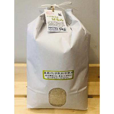 ふるさと納税 小田原市 令和7年産 小田原の米「栽培期間中農薬・化学肥料不使用はるみ」10kg(5kg×2)