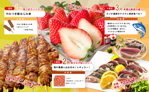 【年末限定】 12回 定期便 四万十 人気 グルメ お楽しみ定期便 しまんと ふるさと 20万円 今だけ 年末 限定 肉 いちご うなぎ 牛肉 パン まぐろ マグロ かつお フルーツ 人気グルメ ごち