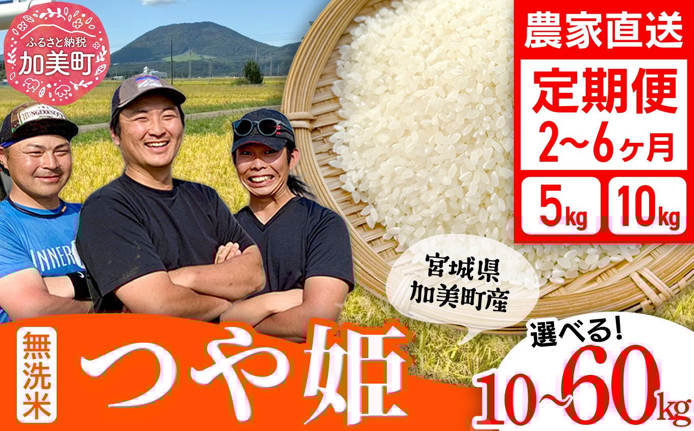 
            【無洗米】【選べる配送回数】 米 宮城県産 つや姫 5kg 10kg 定期便《 令和7年産 新米 》 白米 精米 ご飯 ごはん コメ こめ お米 小分け 家庭用 結心ファーム [ 宮城県 加美町 ]   [yu-th-mu-r7-t-oya] 
          