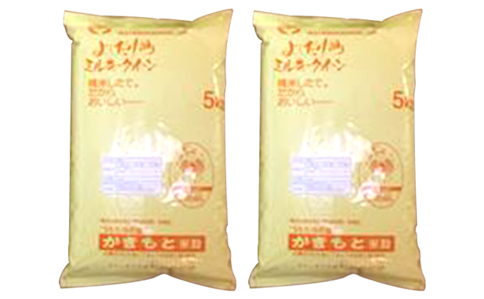 米 令和7年産　広島県安芸高田市産ミルキークイーン10kg（5kg×2袋） お米 ／ミルキークイーン おこめ 