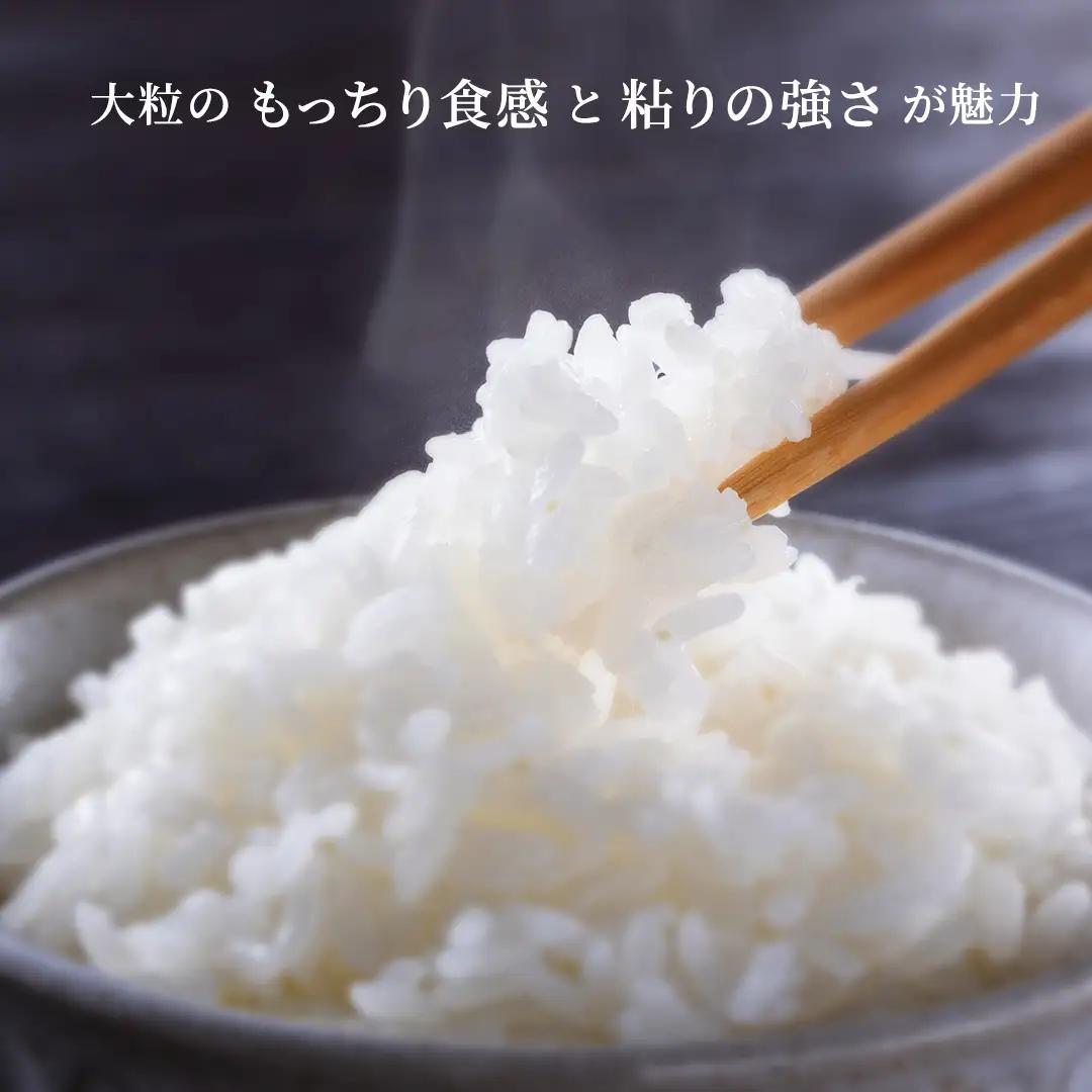 《 令和8年産 》 茨城県産 にじのきらめき 5kg 新米 先行予約 茨城県 桜川市 米 お米 白米 コメ ごはん 精米 コシヒカリ 国産 限定 銘柄米 [SC069sa]