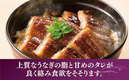 【全2回定期便】福岡県産 うなぎ 蒲焼 大2尾　合計 320 g（1尾あたり 160g以上）《豊前市》【福岡養鰻】 国産 うなぎ 大[VAD034]