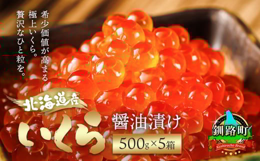 北海道産 いくら醤油漬け 500g ×5箱 【配送日時指定可】 国産 いくら いくら醤油漬 しょう油 しょうゆ HACCP イクラ ikura 天然 鮭 鮭卵 鮭いくら 魚卵 冷凍 配送時期が選べる 配送 指定 配送日 選べる スピード発送 魚介類 海鮮 絶品 人気 笹谷商店 直営 釧之助本店 北海道 釧路町 釧路超 特産品