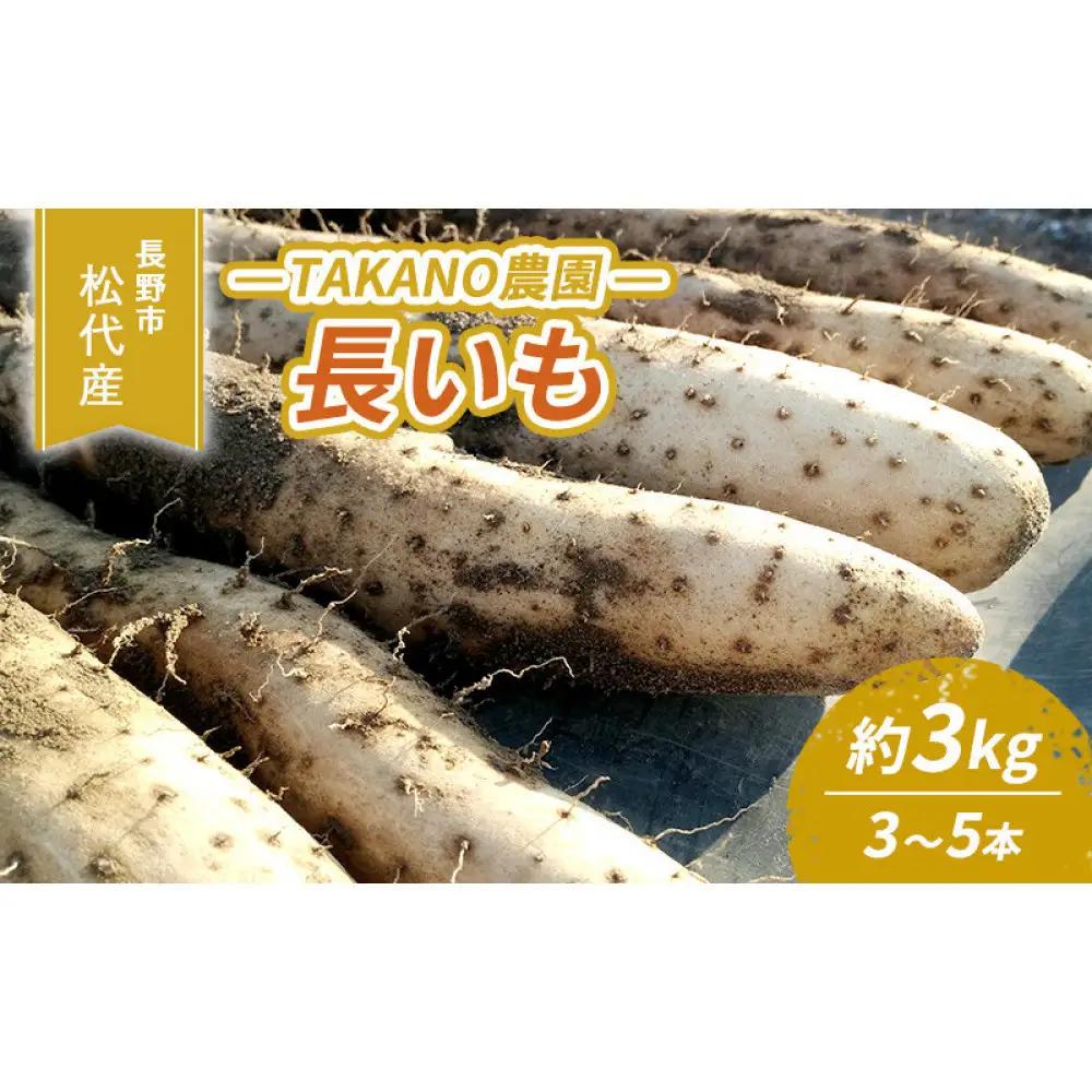 高野農園　長野市松代産 TAKANO農園　長いも 約3kg(訳あり)【3～5本】野菜 根菜 長野県産 ネバネバ シャキシャキ とろろご飯 具材 食材 国産 | 長芋 長芋