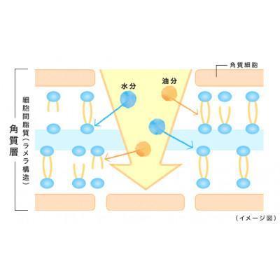 ふるさと納税 茂原市 DHC薬用Qディープ モイスチュアライジング セラム(医薬部外品) |  | 02