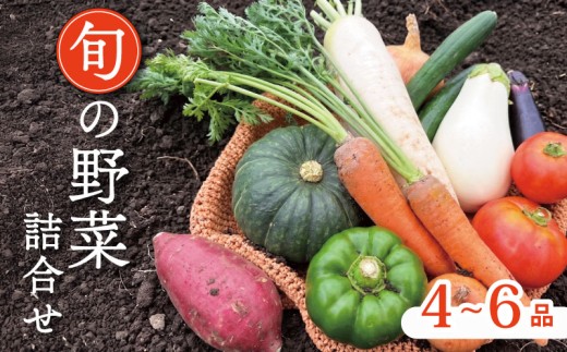 野菜セット 4~6種 レギュラーコース 京野菜セット 野菜詰め合わせ 京野菜 野菜 やさい 冷蔵 セット 季節 旬 自然 詰合せ おまかせ 鍋 鍋セット 希少 新鮮 春野菜 夏野菜 秋野菜 冬野菜 人気 ランキング お取り寄せ ふるさと納税 京都 京都府