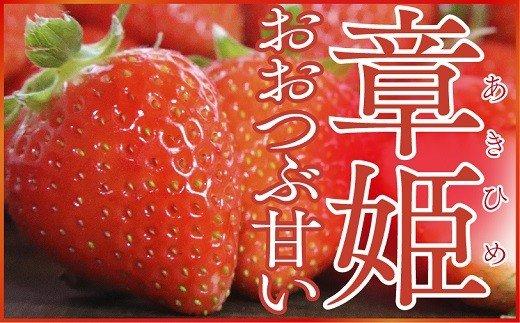 
大粒で甘い！坪井農園のこだわりいちご（章姫）１箱
