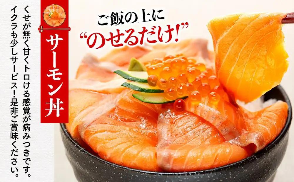 福岡市グルメ糸島海鮮堂のサーモン丼3食セット | 福岡県 福岡市 福岡 九州 返礼品 お取り寄せグルメ 取り寄せ グルメ 食品 お取り寄せ 魚介類 魚介 海産物 海の幸 水産 サーモン 鮭 シャケ し