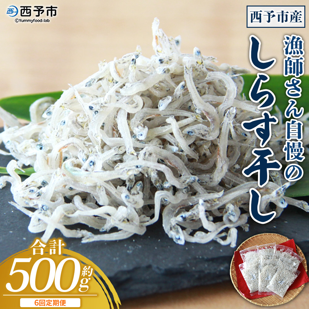 ＜【6回定期便】漁師さん自慢のしらす干し 合計500g（100g×5パック）＞ シラス 魚介類 さかな 海産物 海鮮 海の幸 小分け 国産 ご飯のお供 丼 おつまみ 晩酌 おかず おやつ 特産品 産地