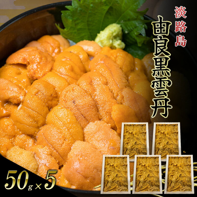 【ふるさと納税】淡路島　由良黒雲丹　5枚 兵庫県 洲本市 淡路島　お届け：2026年4月上旬～6月上旬