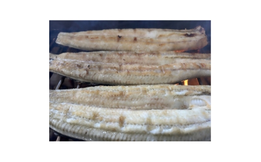 ＜国産うなぎ＞通常サイズ120g-140g　三河一色産　5尾　炭火蒲焼き(タレ付き)【1659361】