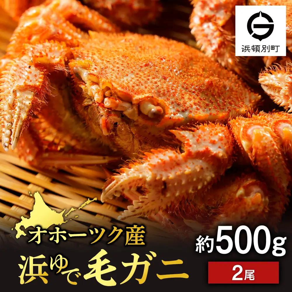 ボイル毛ガニ 500g ２尾