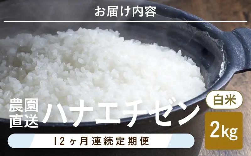 先行予約 定期便 12ヶ月連続お届け ハナエチゼン 2kg (1袋) × 12回 計24kg 白米 精米 ブランド米 2026年9月上旬以降順次発送予定 [E-8915]