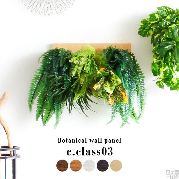 Botanical c.class 03　北欧チーク
