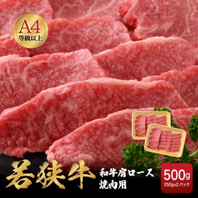 若狭牛 和牛肩ロース焼肉用 計500g(250g × 2パック)【配送不可地域：離島】【1462065】
