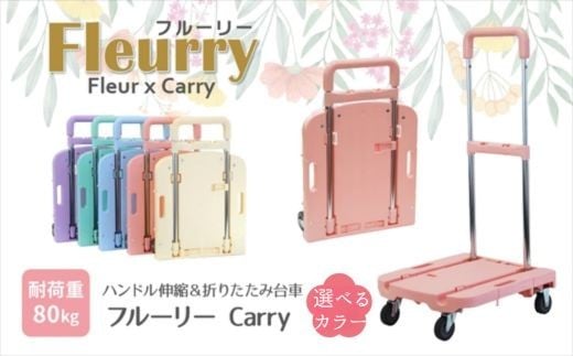 
            ハンドルが伸縮する台車「フルーリーCarry」
          