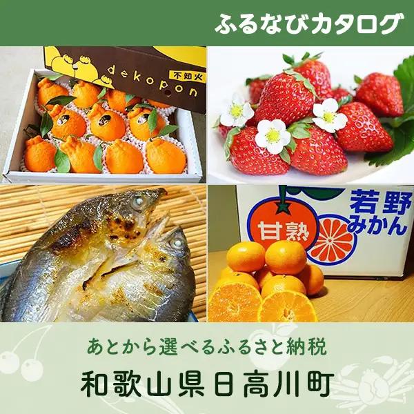 【有効期限なし！後からゆっくり特産品を選べる】和歌山県日高川町カタログポイント