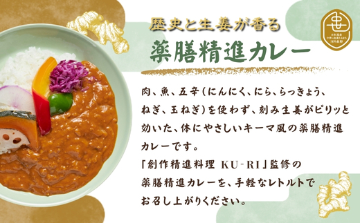 歴史と生姜が香る 薬膳精進カレー 観心寺 金剛寺 延命寺 住職発案 人気レストラン 創作精進料理KU-RI 監修 肉 魚 五辛 不使用 健康 簡単調理 レトルトパック こだわりの逸品 地域特産品 ギフ