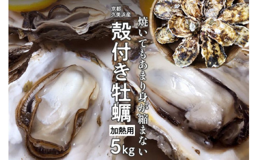 京都・久美浜産　殻付き牡蠣　5kg（50個前後）【加熱用】牡蠣ナイフ付　人気 国産 正規品 大粒 肉厚 養殖牡蠣 牡蠣 牡蛎 かき 海鮮 貝 海のミルク 殻付き　MN00067