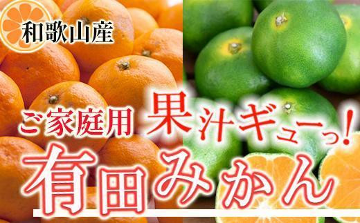 
            家庭用 有田みかん5kg+250g（傷み補償分）［2025年10月上旬から2026年1月下旬頃順次発送予定］［IKE247］
          