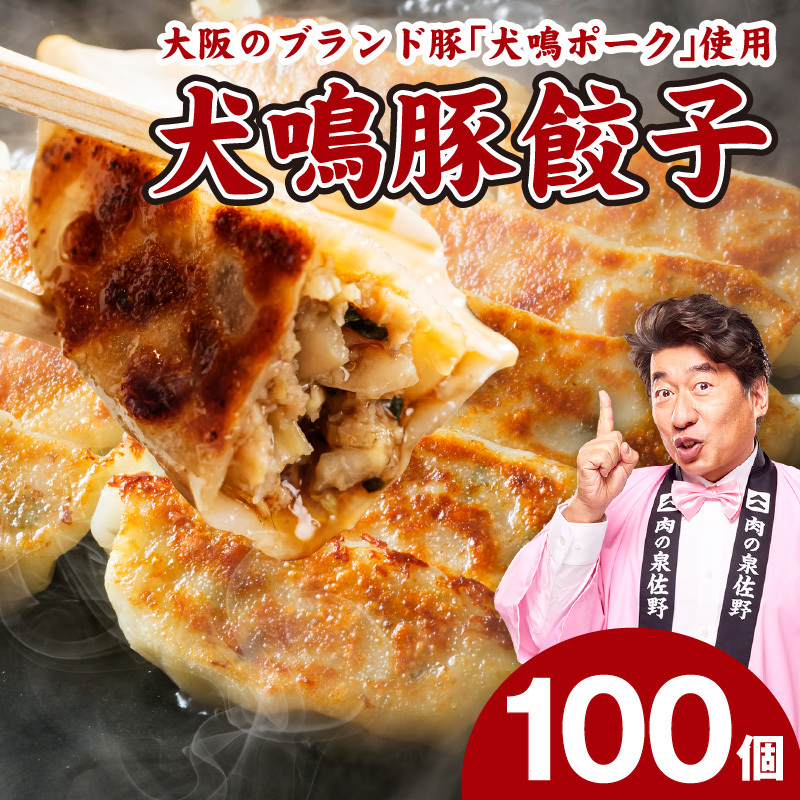 犬鳴豚餃子 100個 【国産 豚肉 ぶたにく 犬鳴ポーク 焼くだけ 人気 総菜 冷凍】 G5633