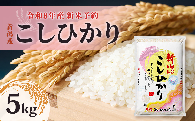 【先行予約】【令和8年産 新米】新潟県産 コシヒカリ 5kg 米 お米 こしひかり 白米 精米 新潟市 2026年産 産地直送