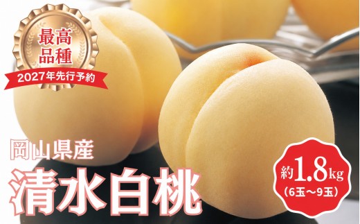 
                  【2027年先行予約】［拝郷果樹園］岡山県産 清水白桃 約1.8kg（6玉～9玉）桃 もも モモ ピーチ 白桃 完熟 朝採り 新鮮 旬 食べごろ 食べ頃 フルーツ 果物 くだもの 岡山産 産地直送 産直 特産 特産品 送料無料 食べ比べ 岡山 鏡野町
                