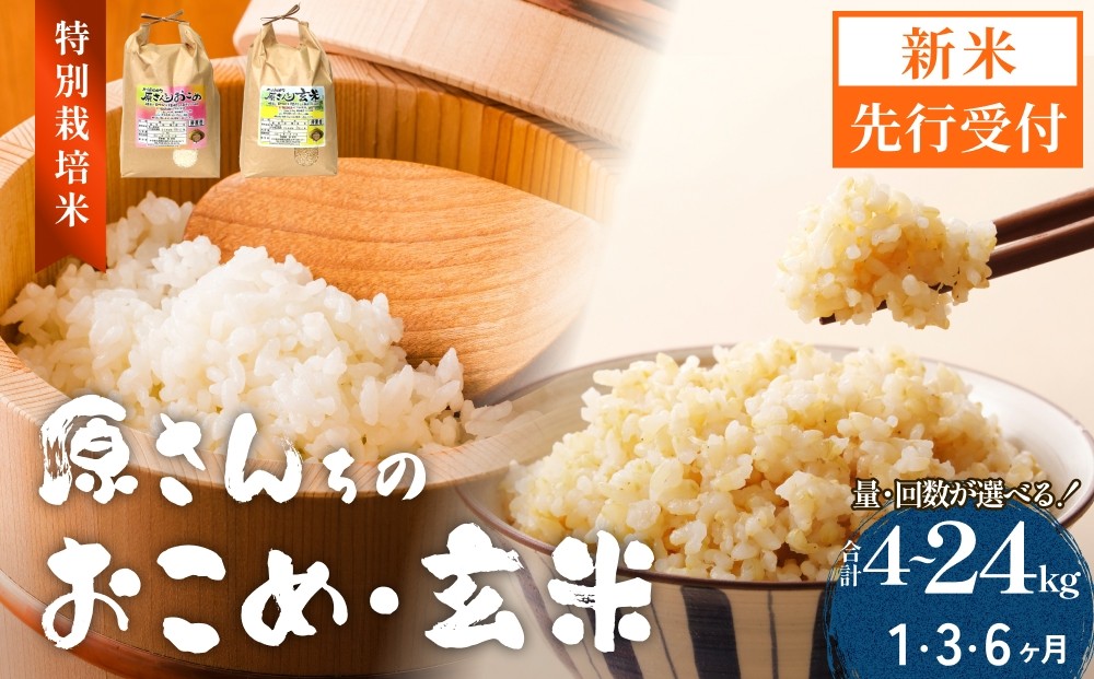 
                  【令和8年産米先行受付】原さんちのお米 白米 玄米 4kg -10kg 1回 3回 6回 選べる 定期便 ひのひかり 米 お米 こめ コメ ご飯 ヒノヒカリ 常温 大分県 大分 玖珠町 玖珠
                