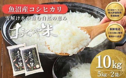 【注文後に精米する新鮮発送！】令和7年産 新潟県 魚沼産コシヒカリ 計10kg (5kg2袋) 徹底した品質管理でお届け！ 新潟産コシヒカリ JA魚沼 特A評価 魚沼産 | おぢや米 新潟県産コシヒカリ お米 米 こしひかり 白米 精米 ブランド米 特A評価【0002-JA13-01】