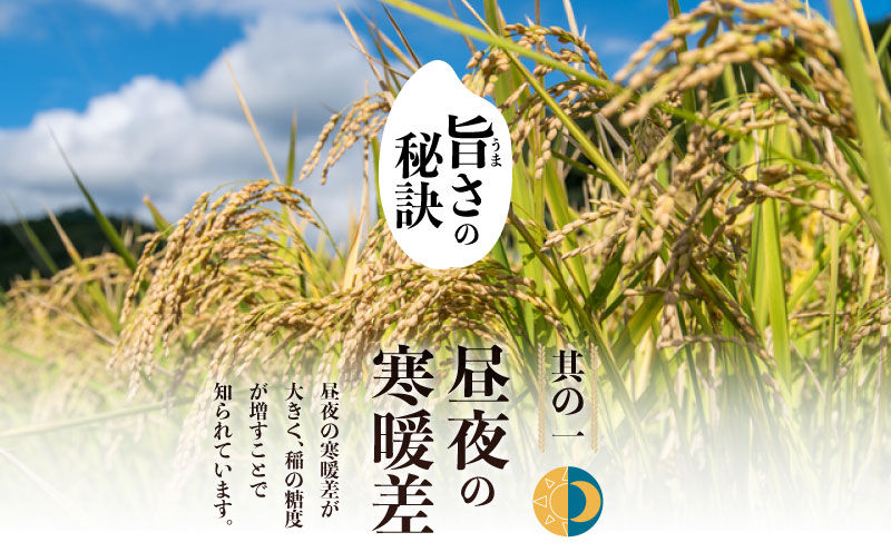 【令和8年産先行予約】山梨県産こしひかり[10kg] 米 お米  こしひかり コシヒカリ　