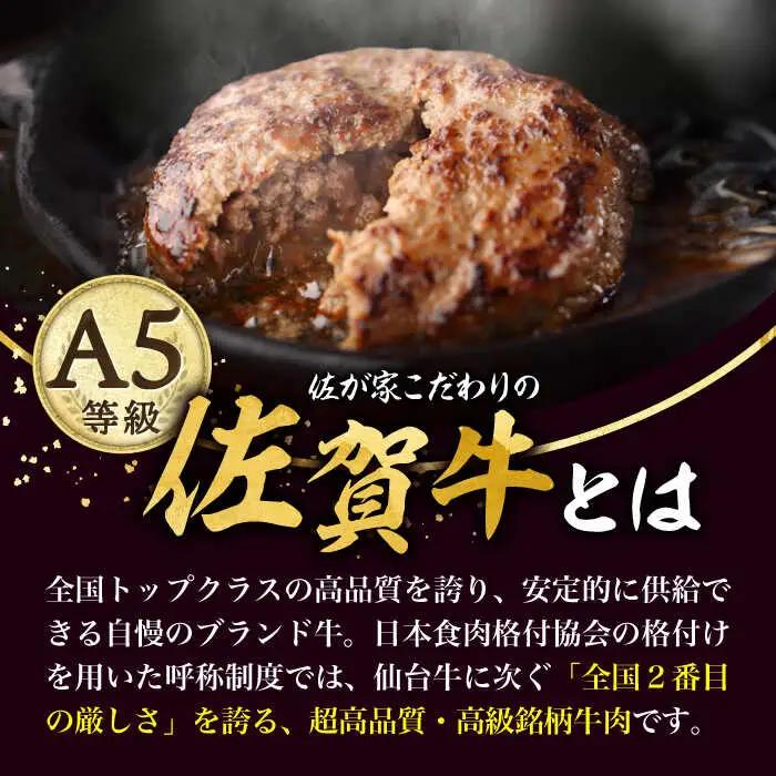 佐賀牛 若楠三元豚 ハンバーグ 食べ比べセット 計4個 /ナチュラルフーズ [UBH081] ハンバーグ