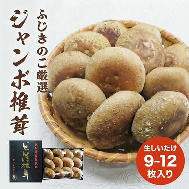 【ふるさと納税】 大分県産 生しいたけ （9〜12枚入り） 贈答用 ジャンボ 椎茸 ( 生しいたけ ) 生しいたけ 箱入り 贈答用 贈り物 肉厚 しいたけ 煮物 鍋 焼き バター醤油 トースター オーブンジューシー 冷蔵保存