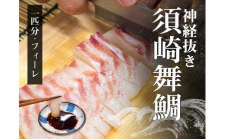 鯛 タイ 刺身 まるごと 1匹分 400～500g 鮮魚 冷蔵 須崎舞鯛 ブランド 魚 産地直送 高知県 須崎市  鯛 鯛飯 鯛 カルパッチョ たい 酢ミカン 鯛 炙り タイ 昆布締め 鯛 塩焼き 鯛