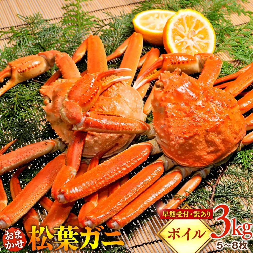 【早期受付】【ボイル】訳あり 松葉ガニ おまかせ3kg（5～8枚） ※着日指定不可※2026年11月上旬頃から順次発送予定 松葉ガニ