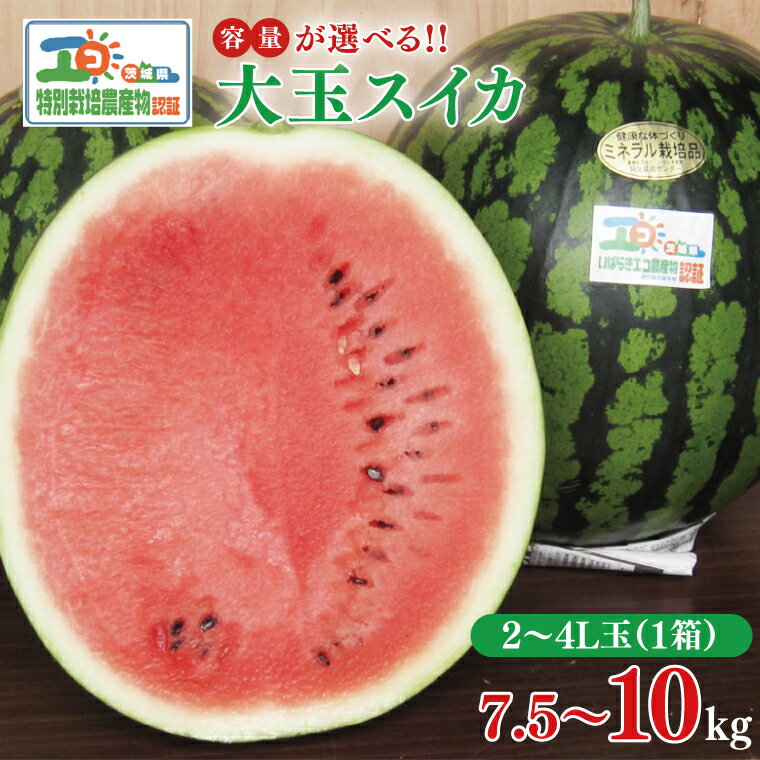 【ふるさと納税】【選べるサイズ】スイカ 1玉 2L~4L （2025年6月上旬～6月下旬頃にお届け）| すいか 西瓜 果物 フルーツ 国産 阿見町 甘い 送料無料 茨城県産大玉スイカ【大地のめぐみ】