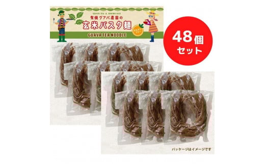 有機グアバ農園のグルテンフリー玄米パスタ麺 100g×48袋セット【グルテン フリー ダイエット 健康 食品 人気 おすすめ 高知県 南国市】