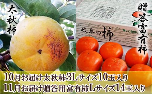 
[№5568-0173]【オンライン決済限定】［柿食べ比べセット］太秋柿 3L 10玉＆贈答富有柿 14玉
