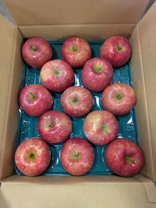 【ふるなびWEEK対象】青森県産りんご 光センサー選別 サンふじ 約10kg 大玉 りんご FN-Limited-PR